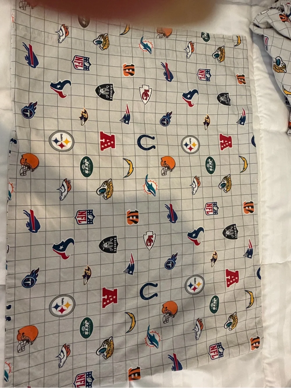 Pottery Barn Teen NFL Gray Logo TWIN Sheet Set